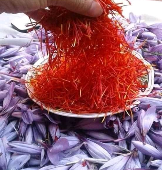 Kashmiri Real Saffron